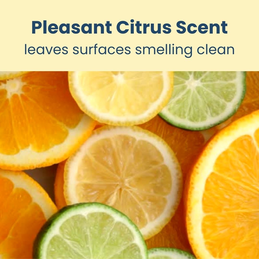 Ship-Shape® Professional Surface & Appliance Cleaner